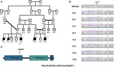 Multiple Family Members With Delayed Cord Separtion and Combined Immunodeficiency With Novel Mutation in IKBKB